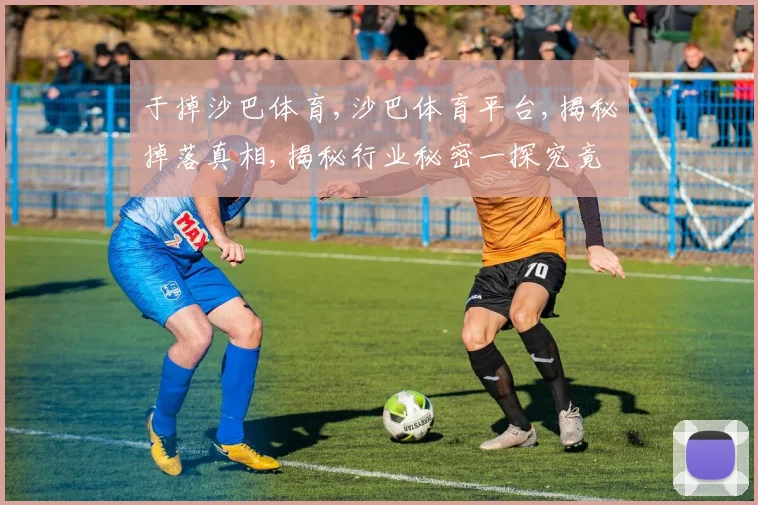 于掉沙巴体育,沙巴体育平台,揭秘掉落真相,揭秘行业秘密一探究竟